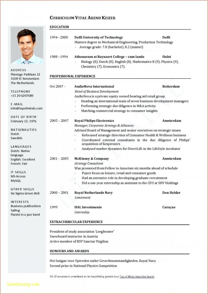 Executive Resume Template Free Download Executive Resume Template Free Download