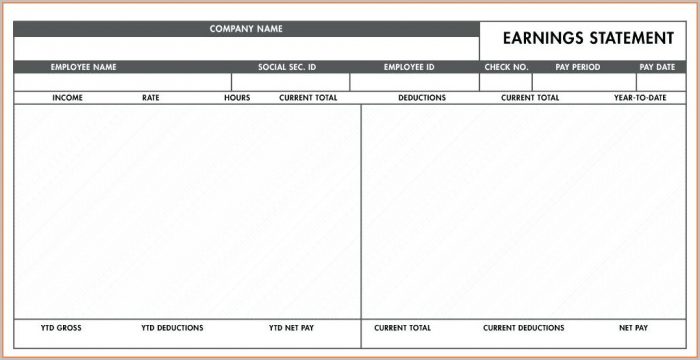 Fake Check Stubs Template Fake Check Stubs Template