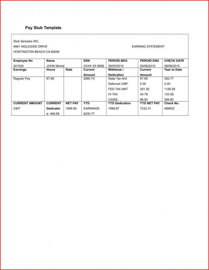 Fillable Blank Check Stub Template Fillable Blank Check Stub Template