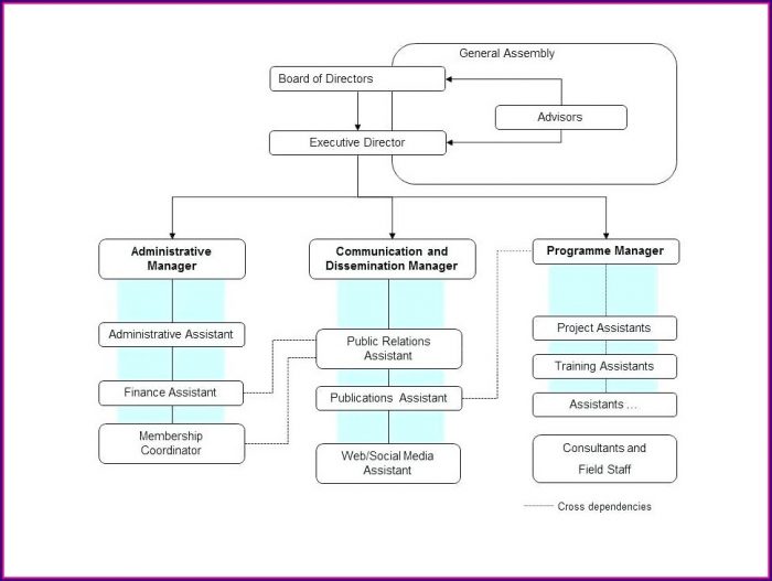 Finance Department Organizational Chart Template Finance Department Organizational Chart Template