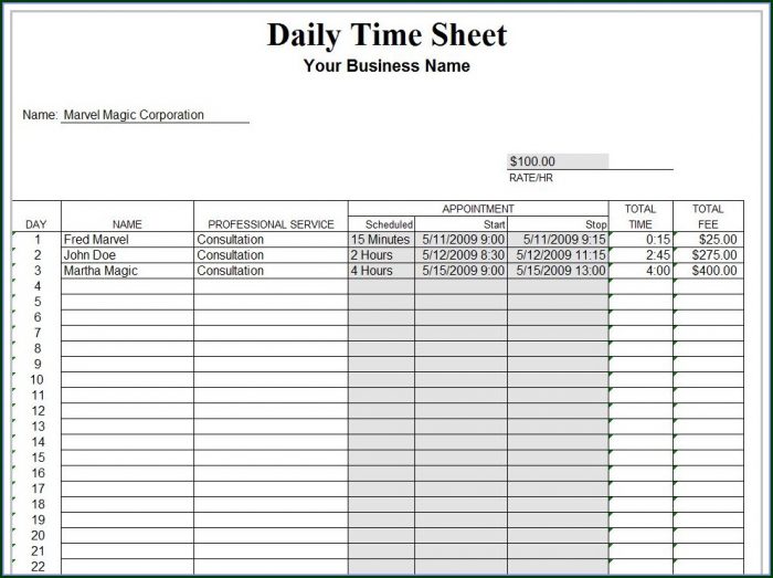 Free Daily Timesheet Template Free Daily Timesheet Template