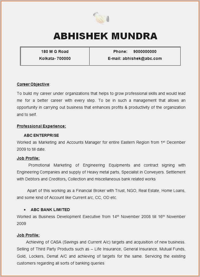 Free Executive Resume Template 2019 Free Executive Resume Template 2019