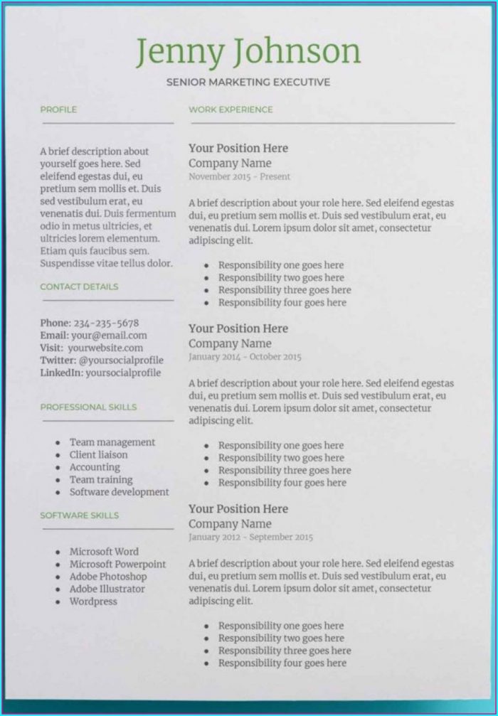 Free Google Resume Templates Free Google Resume Templates