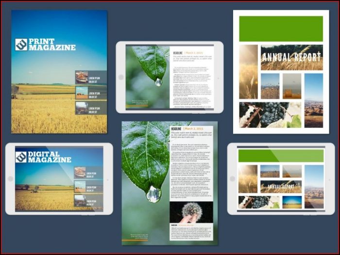 Free Newsletter Templates For Publisher 2016 Free Newsletter Templates For Publisher 2016