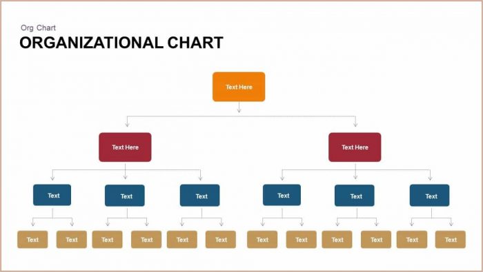 Free Organizational Chart Template Word 2007 Free Organizational Chart Template Word 2007