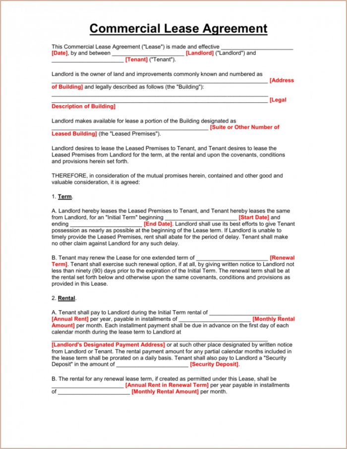 Free Rental Agreement Template Word South Africa Free Rental Agreement Template Word South Africa