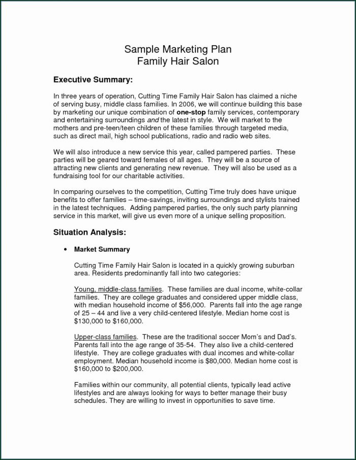 Hair Salon Business Plan Template Hair Salon Business Plan Template