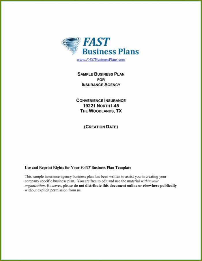 Insurance Business Plan Template Insurance Business Plan Template