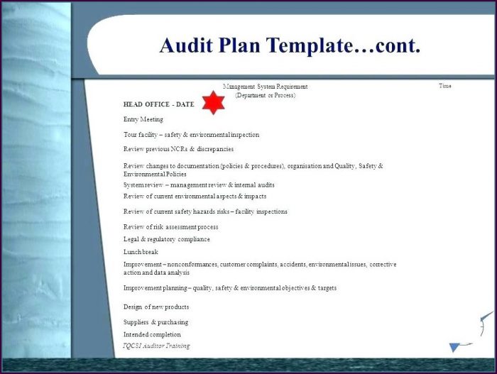 Internal Audit Plan Template Iso 9001 Internal Audit Plan Template Iso 9001