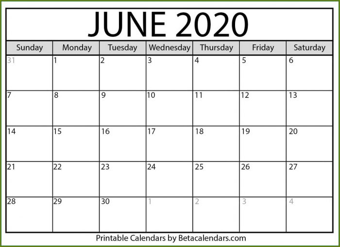 Large Print Free 2020 Calendar Template Large Print Free 2020 Calendar Template