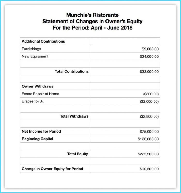 Llc Financial Statement Template Llc Financial Statement Template