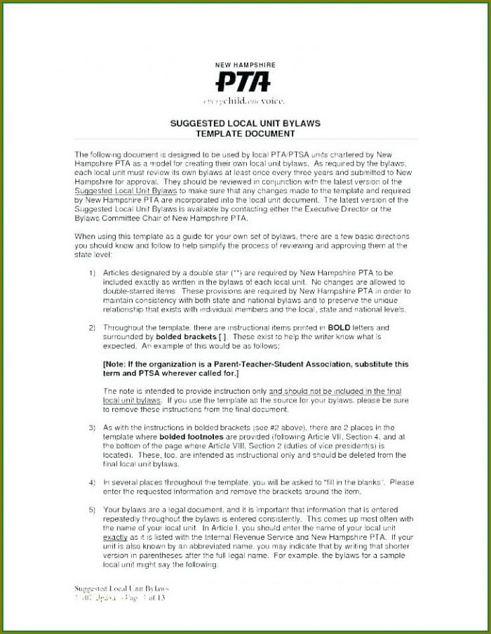 Non Profit Organization Bylaws Template Non Profit Organization Bylaws Template