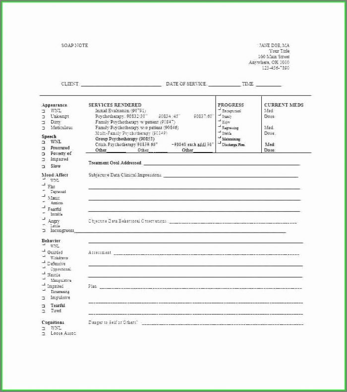 Occupational Therapy Daily Notes Template Occupational Therapy Daily Notes Template