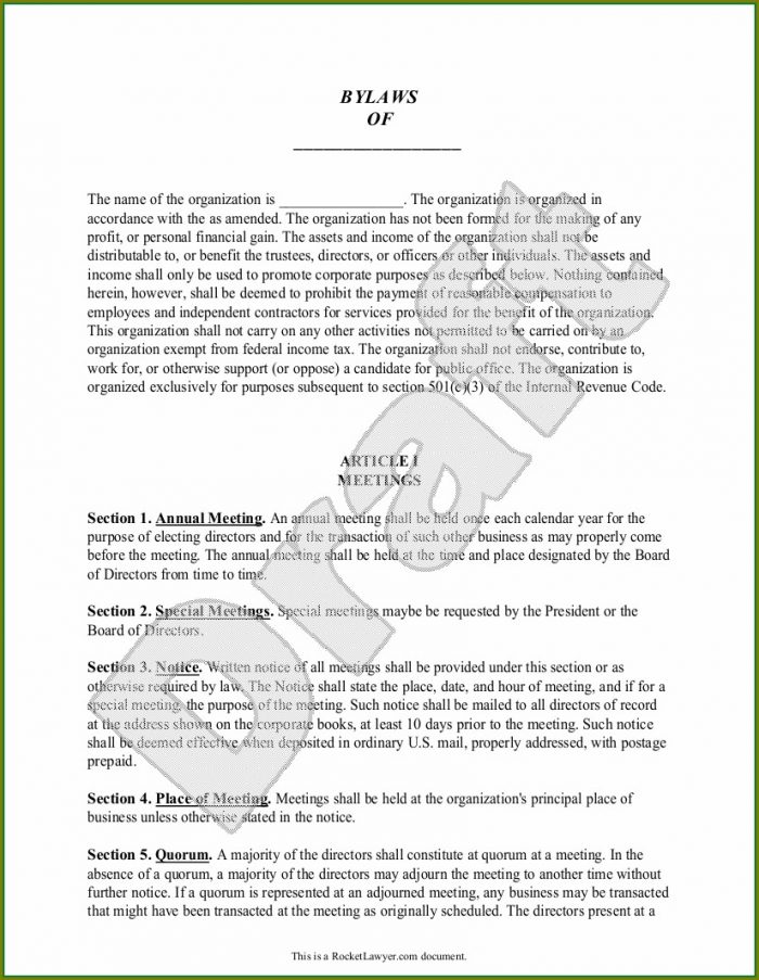 Organization Bylaws Template Organization Bylaws Template