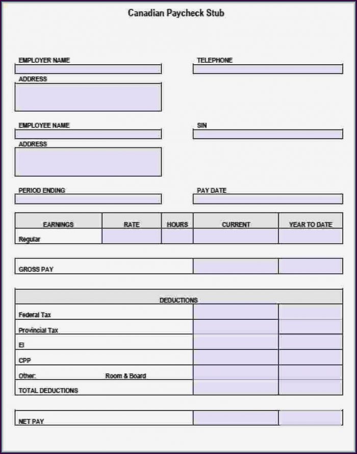 Pay Stub Pay Stub Template Canada Pay Stub Pay Stub Template Canada