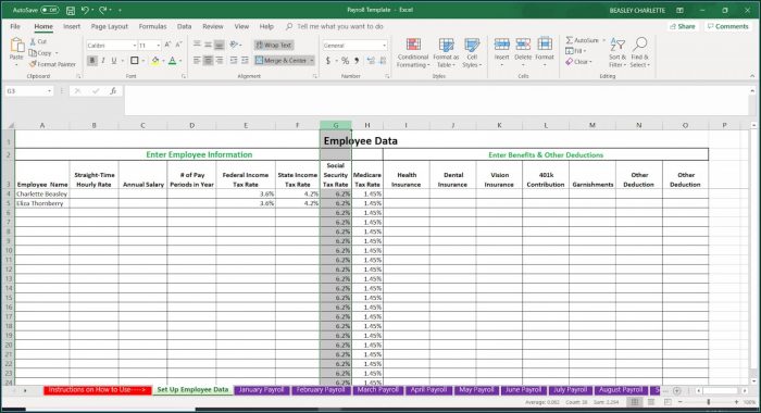 Payroll Ledger Template Excel Payroll Ledger Template Excel