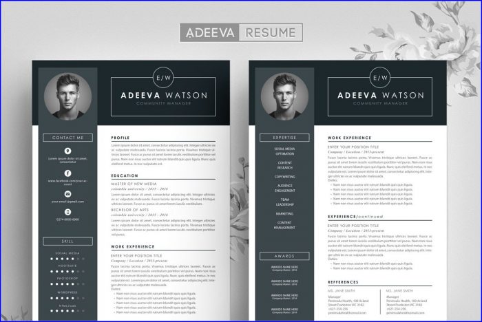 Professional Creative Resume Design Templates Professional Creative Resume Design Templates
