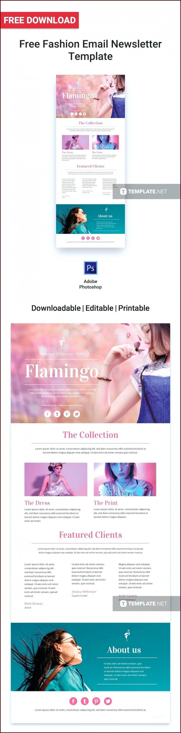 Responsive Email Newsletter Templates Free Download Responsive Email Newsletter Templates Free Download