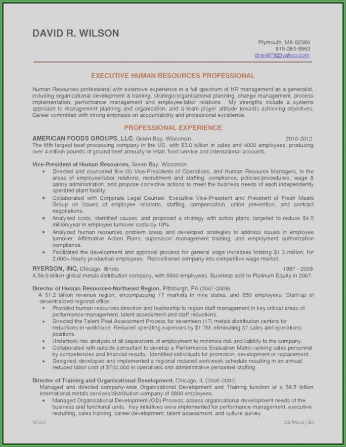 Sales Executive Resume Template Free Sales Executive Resume Template Free