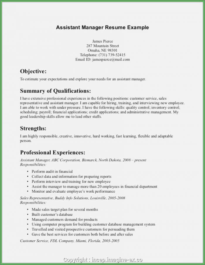 Sales Manager Resume Templates Free Sales Manager Resume Templates Free