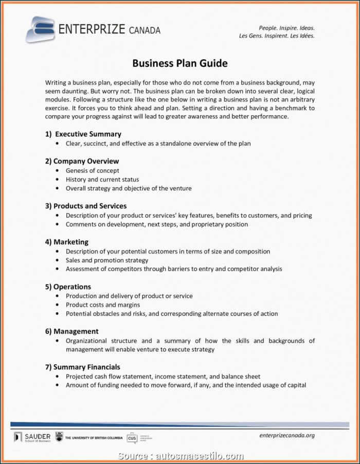 Salesperson Business Plan Template Salesperson Business Plan Template