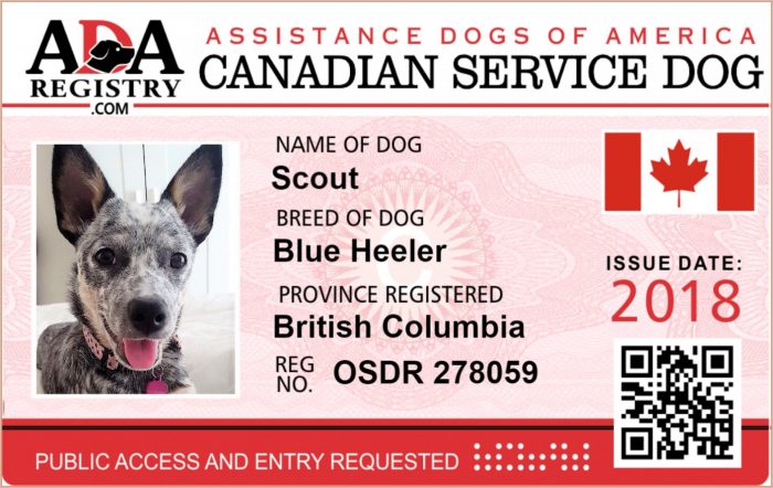 Service Dog Id Card Template Service Dog Id Card Template