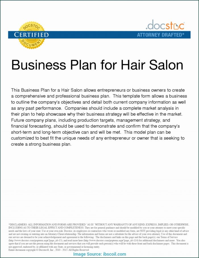 Spa Business Plan Template Pdf Spa Business Plan Template Pdf