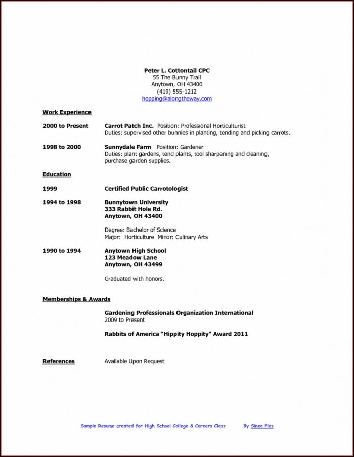 Student Resume Templates Free No Work Experience Student Resume Templates Free No Work Experience