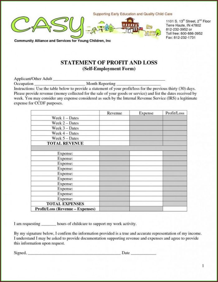 Template Of Profit And Loss Statement Template Of Profit And Loss Statement