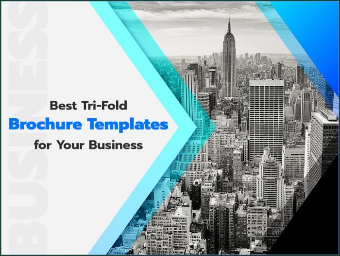 Tri Fold Business Brochure Templates Tri Fold Business Brochure Templates